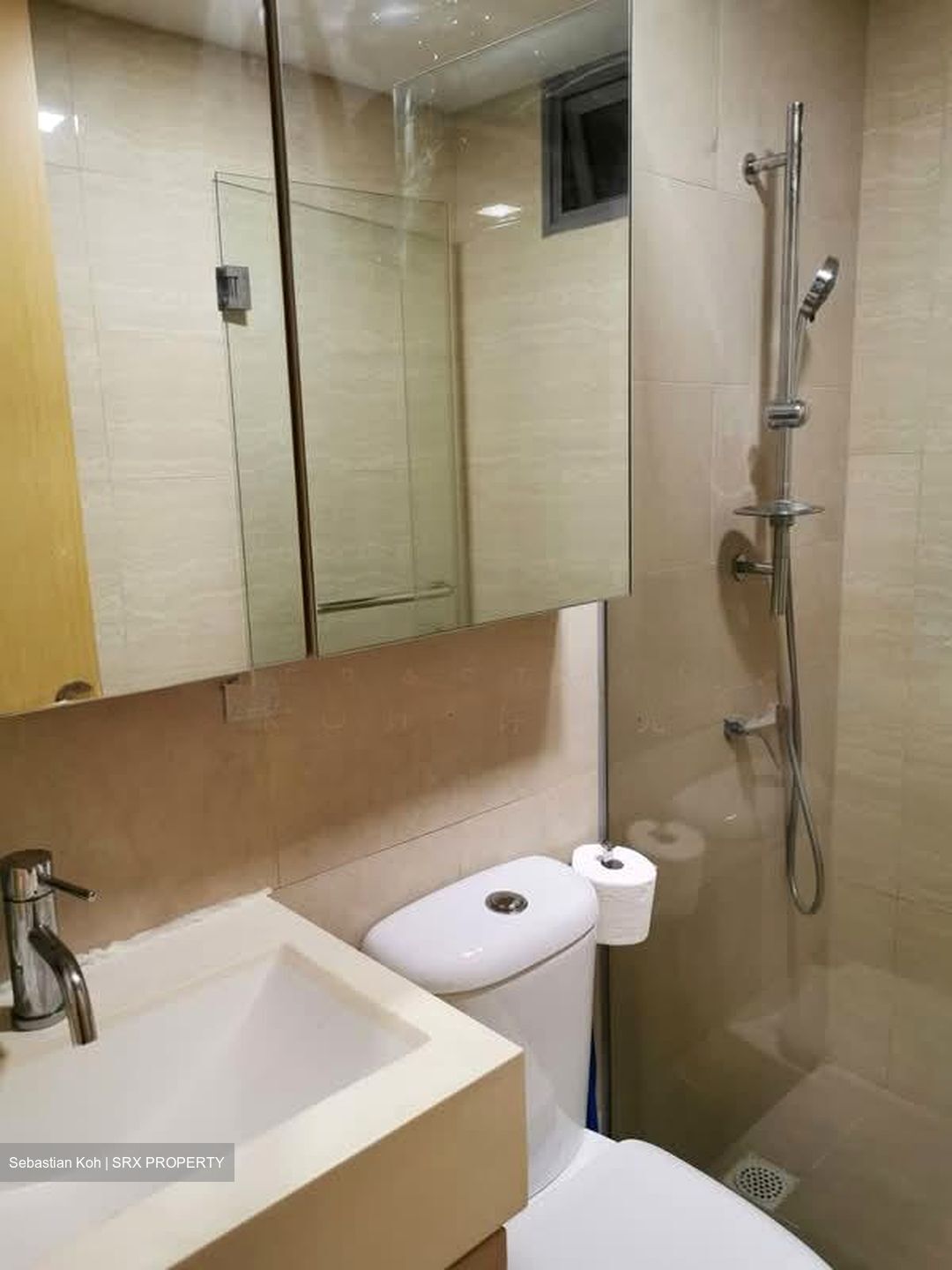 A Treasure Trove (D19), Condominium #599727121